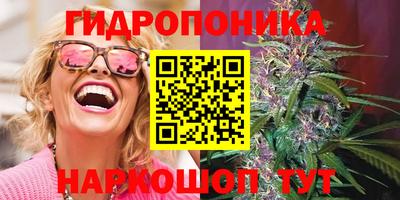 винт Кингисепп